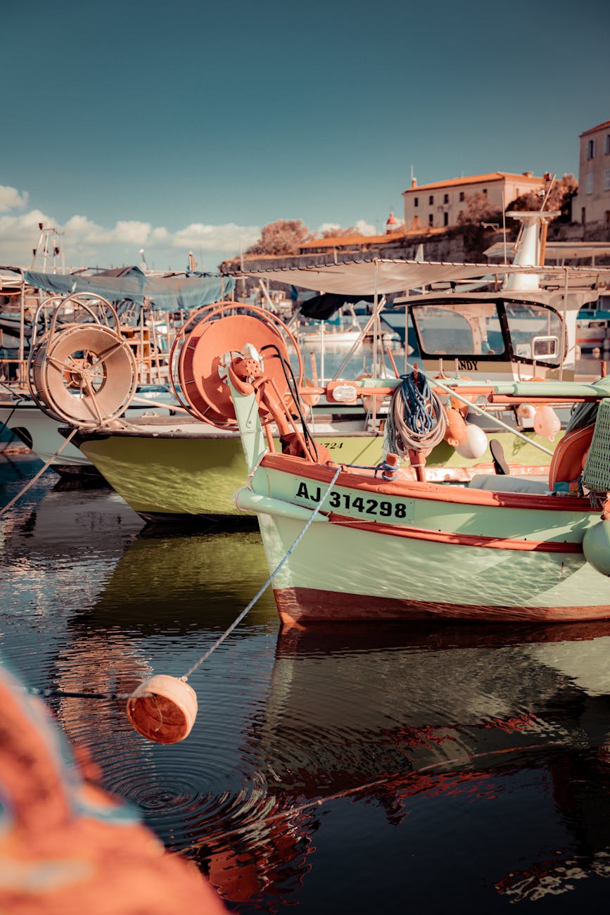 Bateaux de pêche dans le port d'Ajaccio sous un ciel clair
