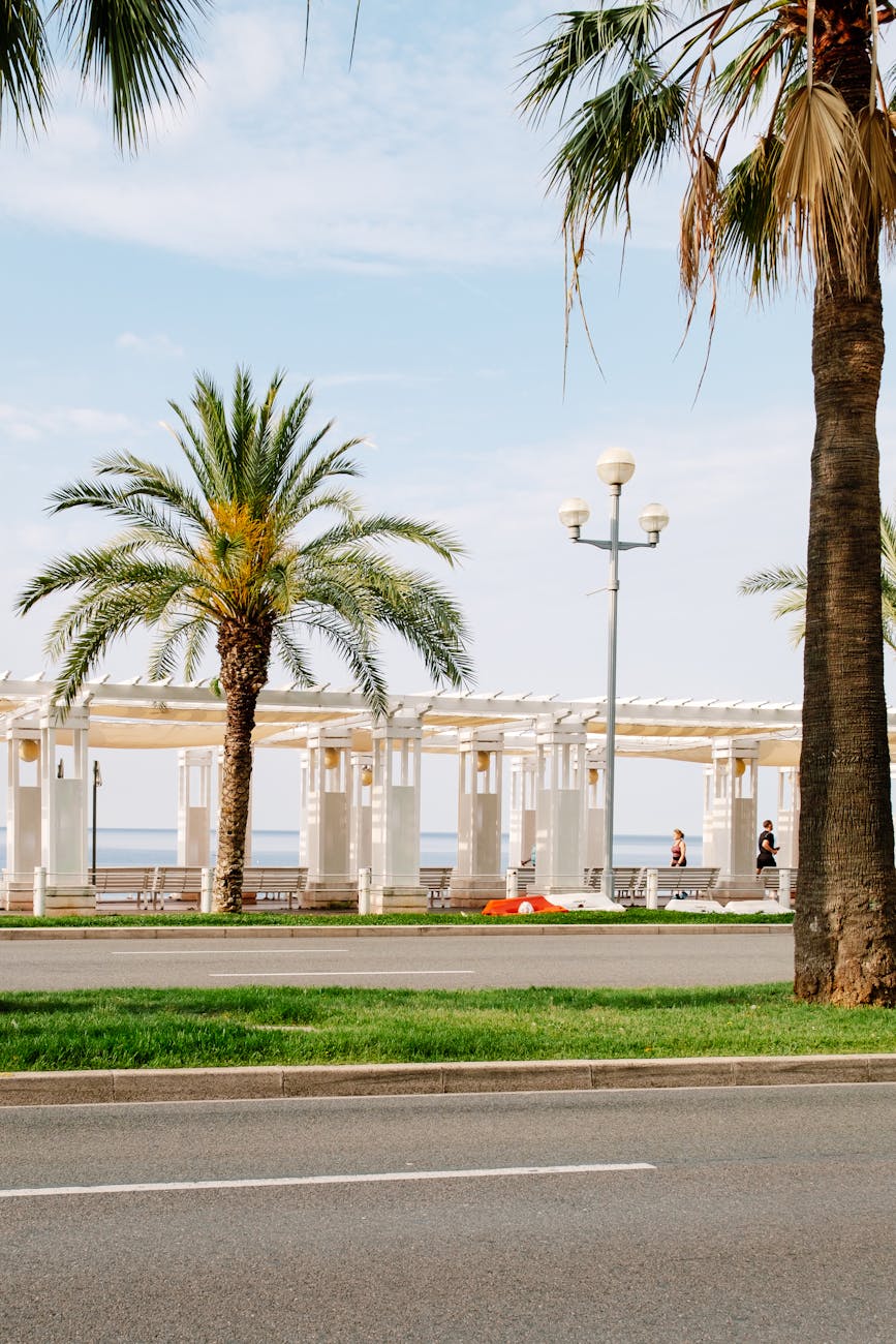 Promenade des Anglais à Nice avec palmiers et façades belle époque