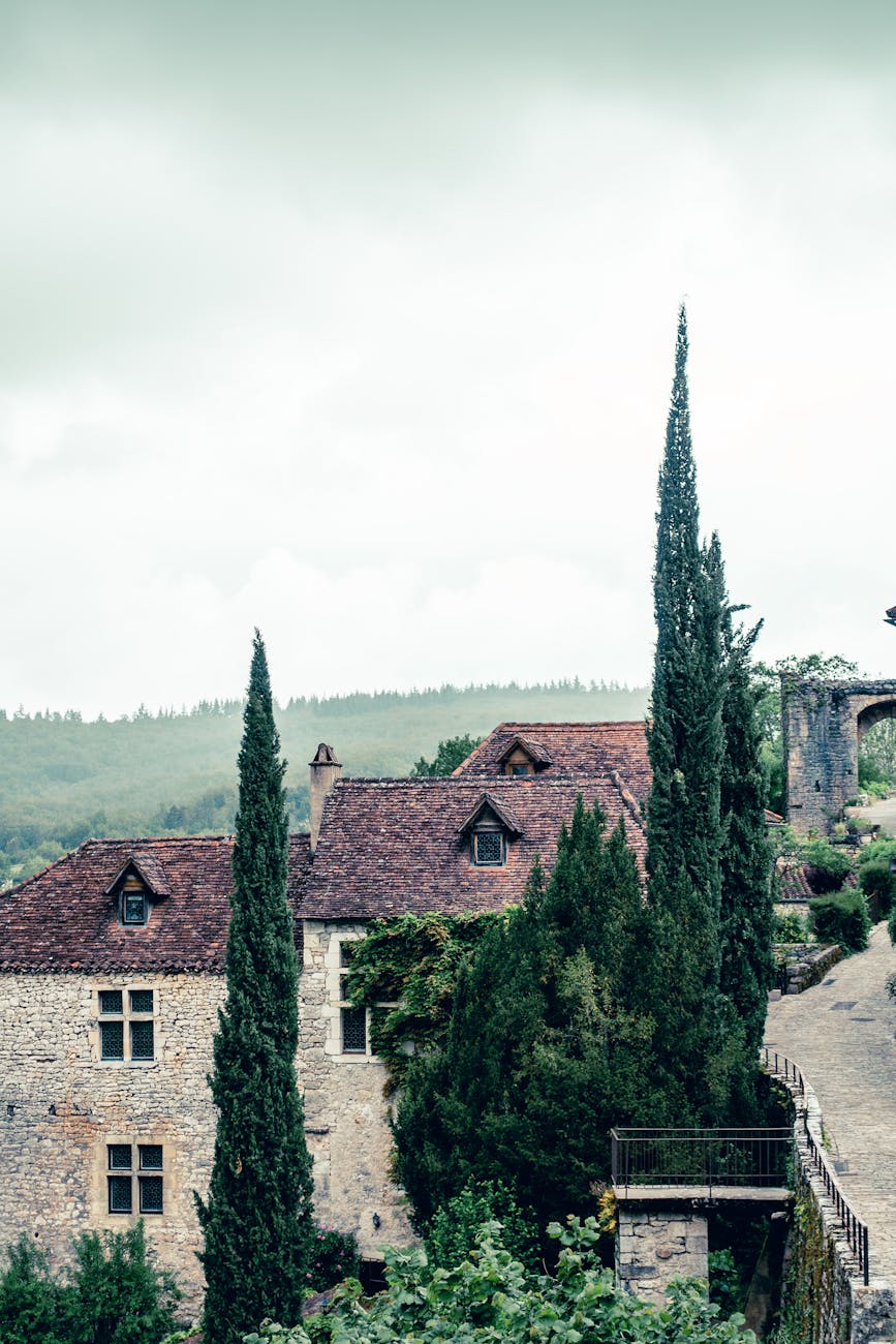 Toits d'un village médiéval français