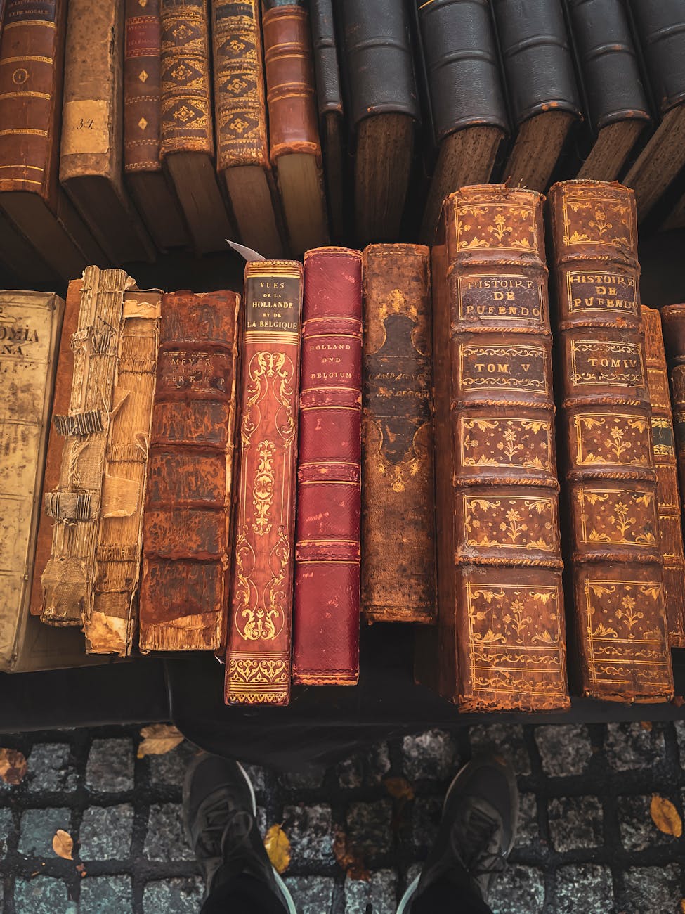 Livres anciens reliés en cuir sur étagère