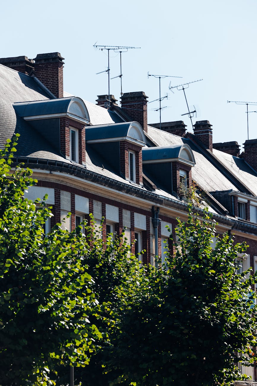 Toits traditionnels et arbres à Amiens, France, sous le soleil