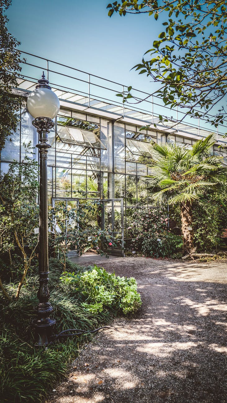 Serre d'un jardin botanique avec allée fleurie