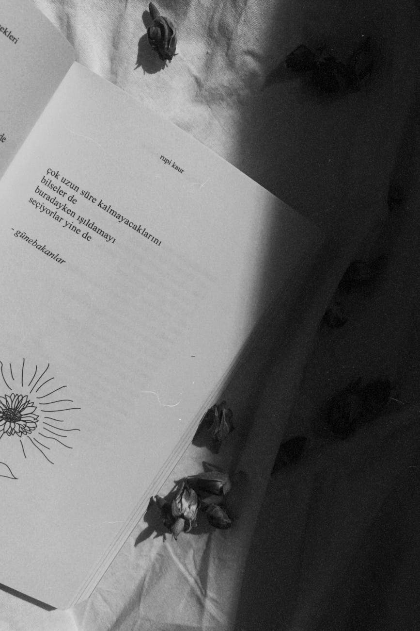 Livre de poésie ouvert avec ombres dans une nature morte