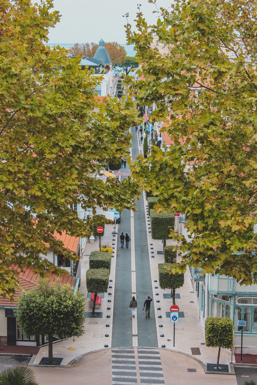 Rue arborée à Arcachon en automne