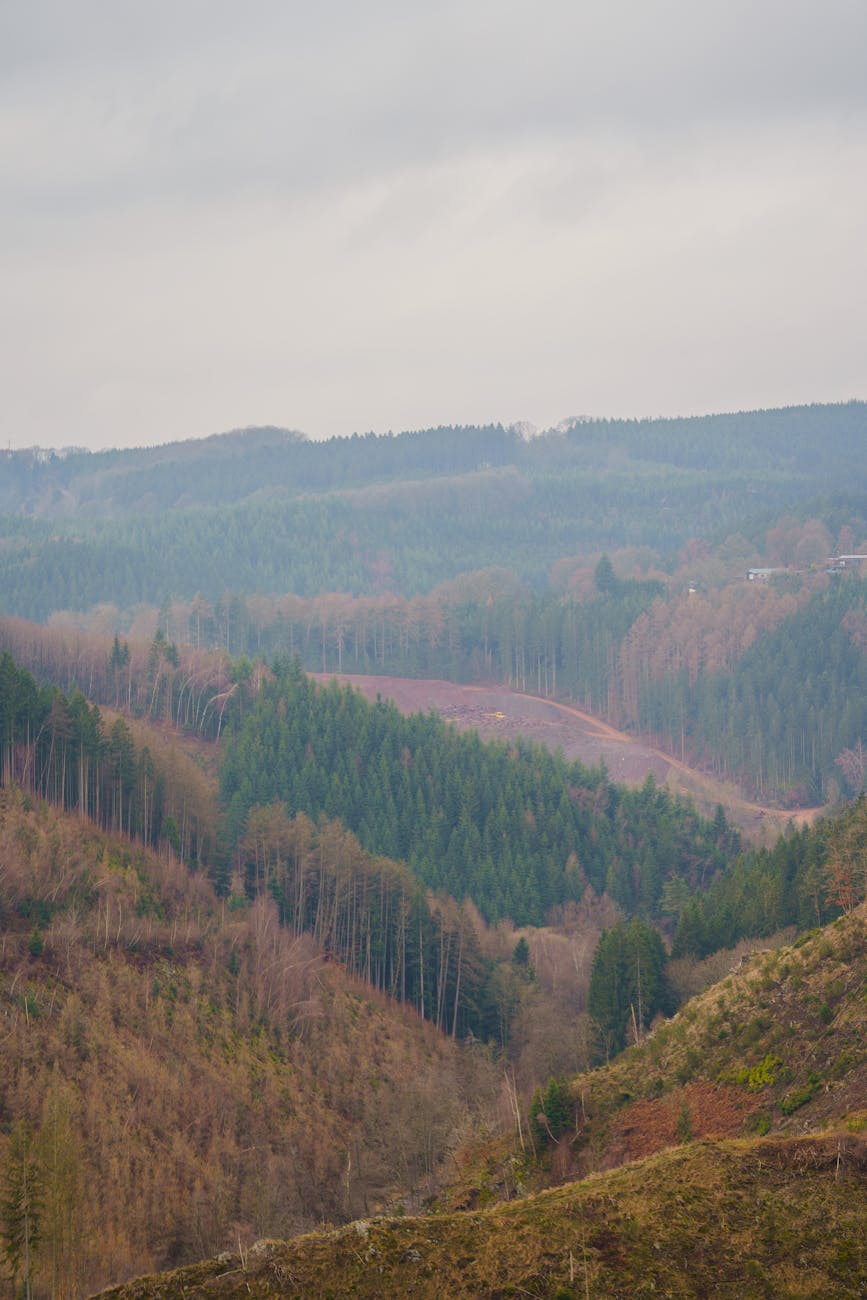 Collines forestières ardennaises dans une atmosphère brumeuse