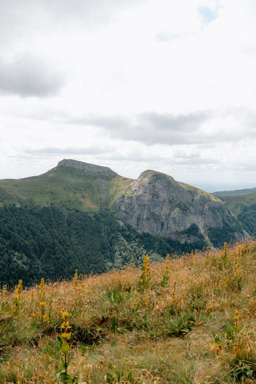 Vue à couper le souffle sur des montagnes verdoyantes en Auvergne-Rhône-Alpes