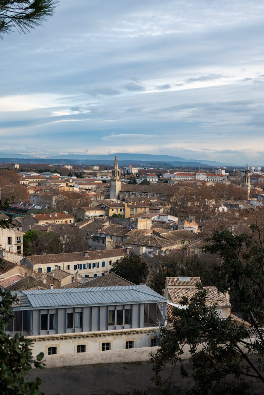 Toits et clochers du centre historique d'Avignon