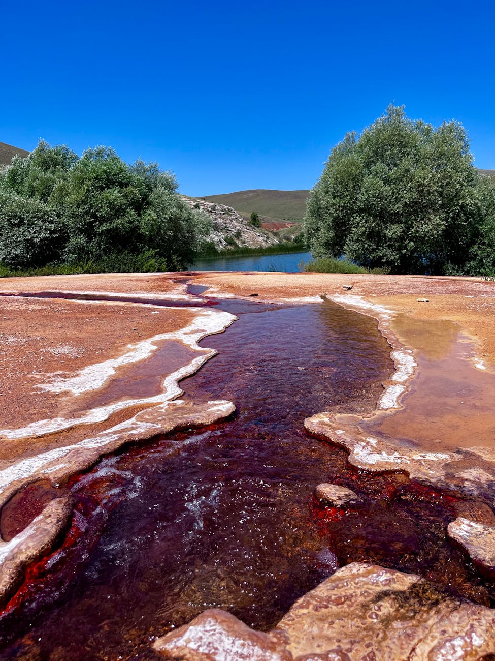 Source d'eau chaude s'écoulant à travers rochers et arbres dans un cadre de montagne