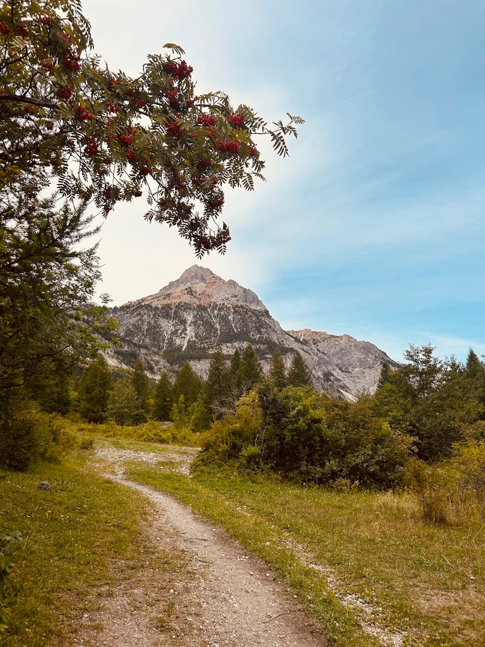 Sentier de montagne entouré de végétation luxuriante