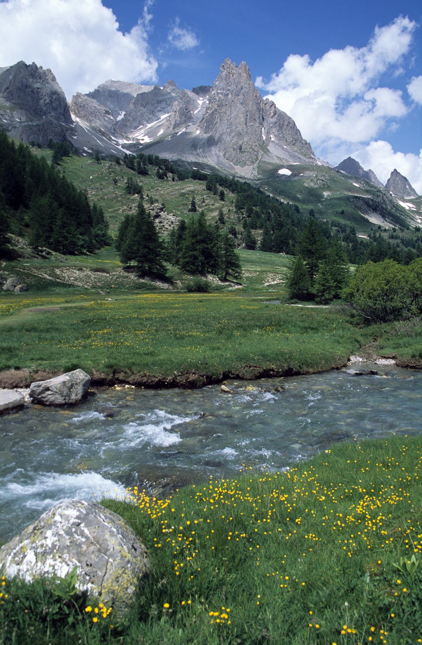 Vallée alpine et rivière de montagne