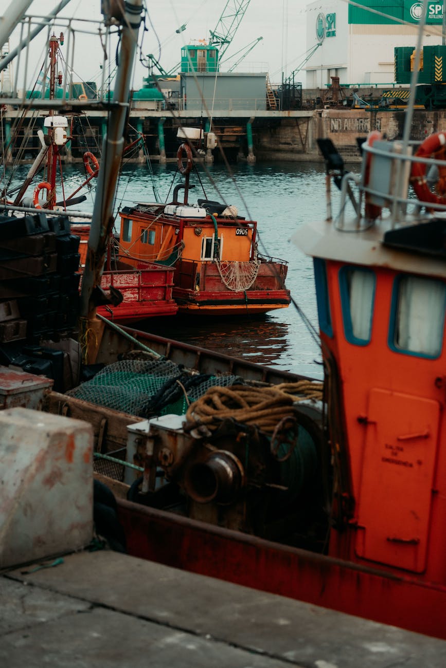 Bateaux de pêche colorés à quai dans un port