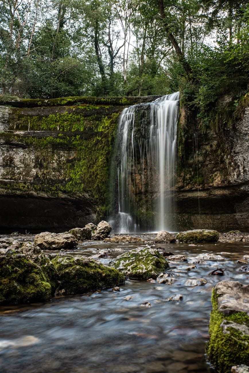 Cascade en forêt avec eau cascadant entre les arbres