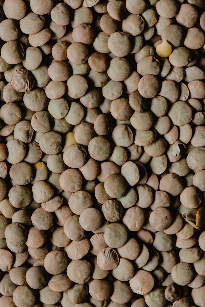 Gros plan sur des lentilles vertes en texture naturelle