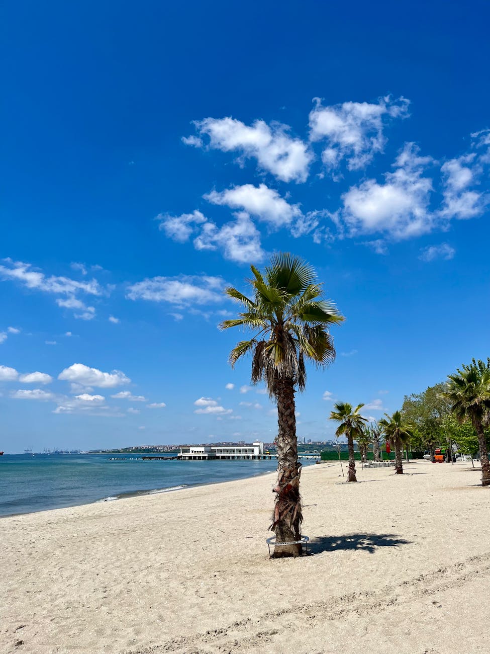 Plage avec palmiers sous un ciel bleu