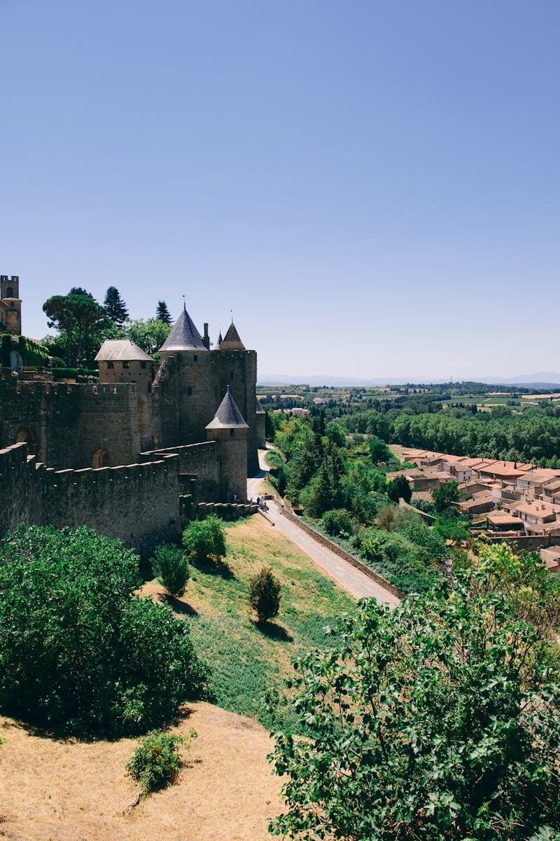 Cité médiévale de Carcassonne entourée d'un paysage verdoyant en été
