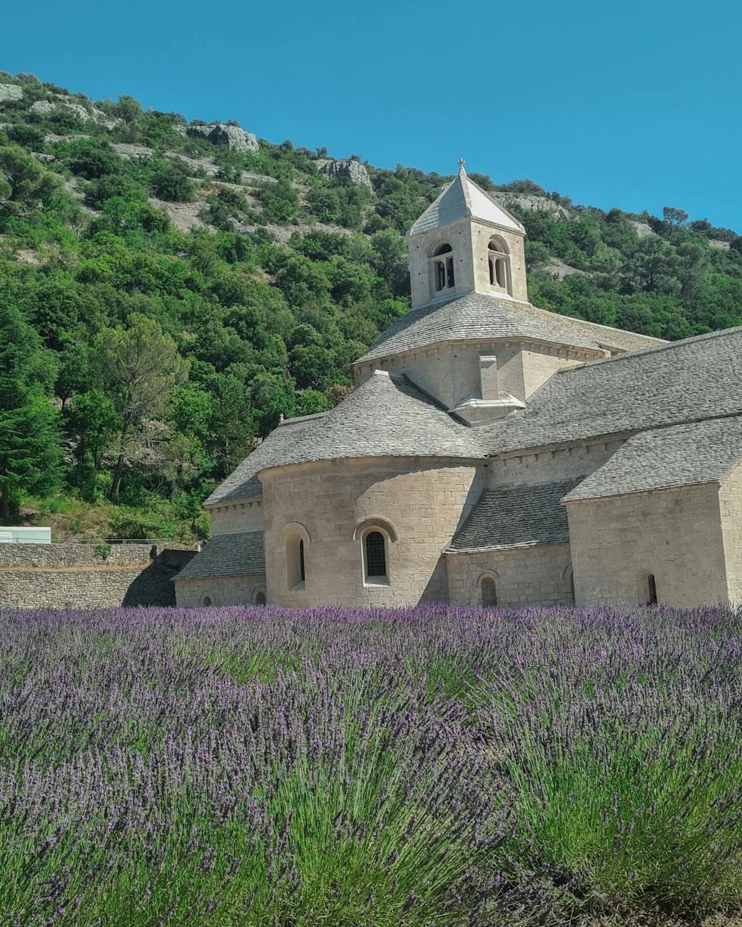 Abbaye provençale entourée de champs de lavande