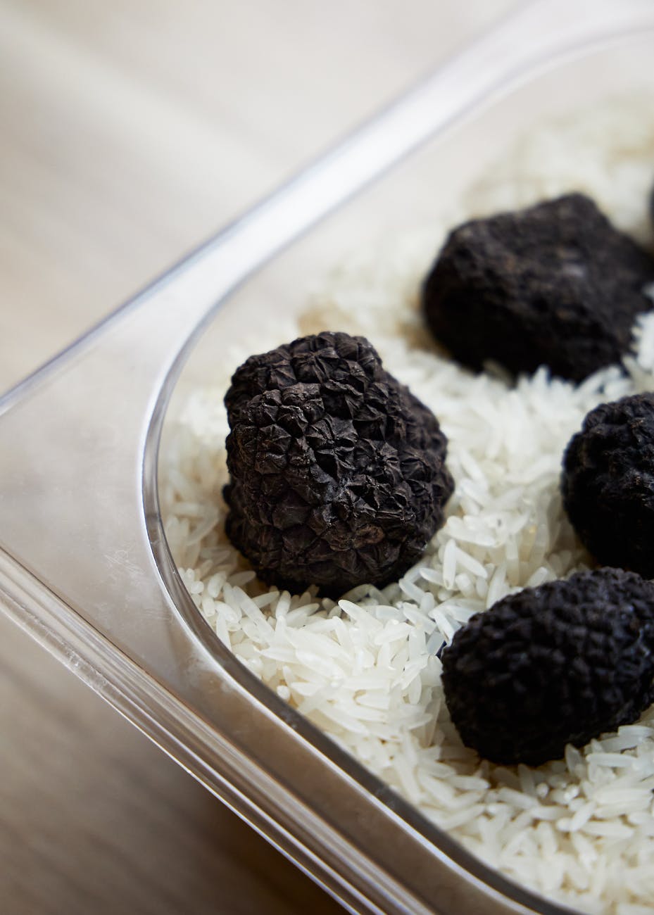 Truffes noires (Tuber melanosporum) sur grain blanc