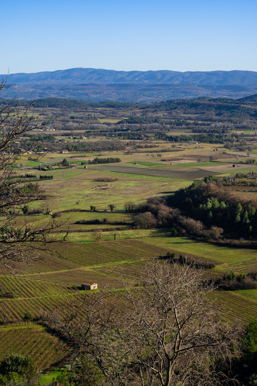 Plaine cultivée du Vaucluse vue de hauteur