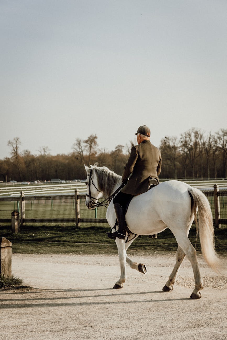 Cavalier sur cheval blanc à l'hippodrome de Chantilly