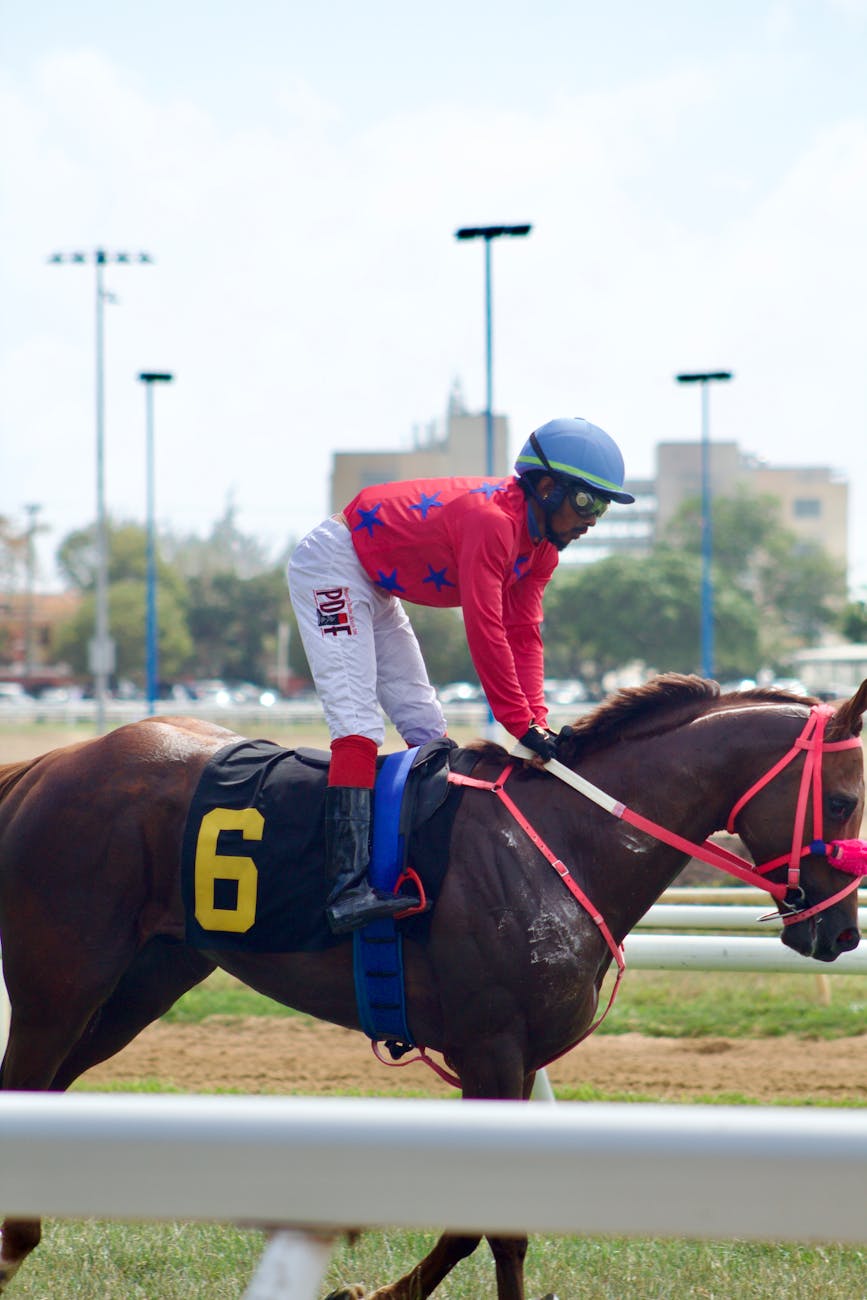 Jockey en course sur un hippodrome