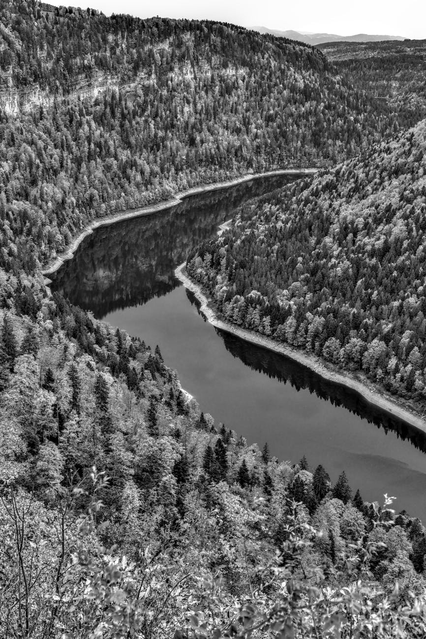 Vue aérienne d'une rivière sinuant à travers la forêt ardennaise
