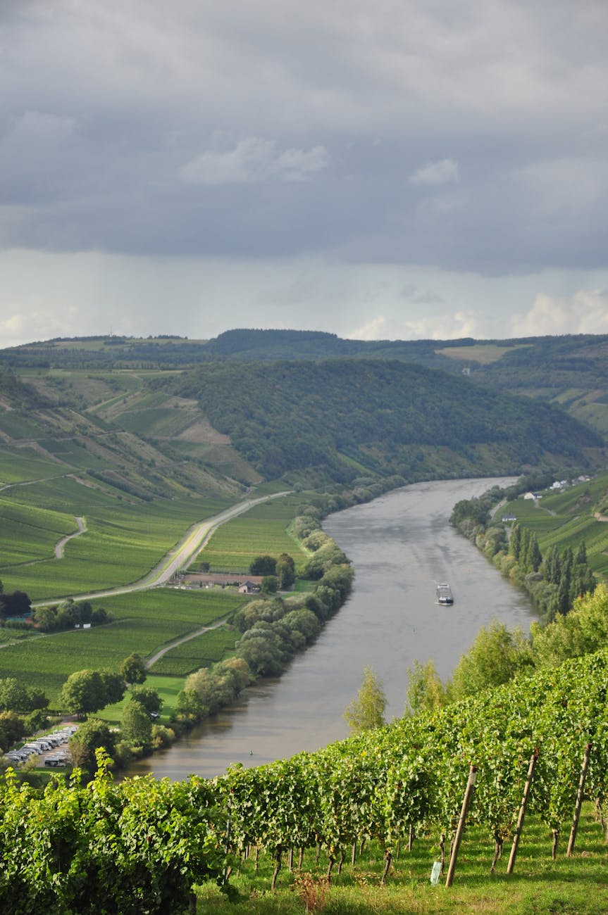 Vignobles surplombant une rivière au crépuscule