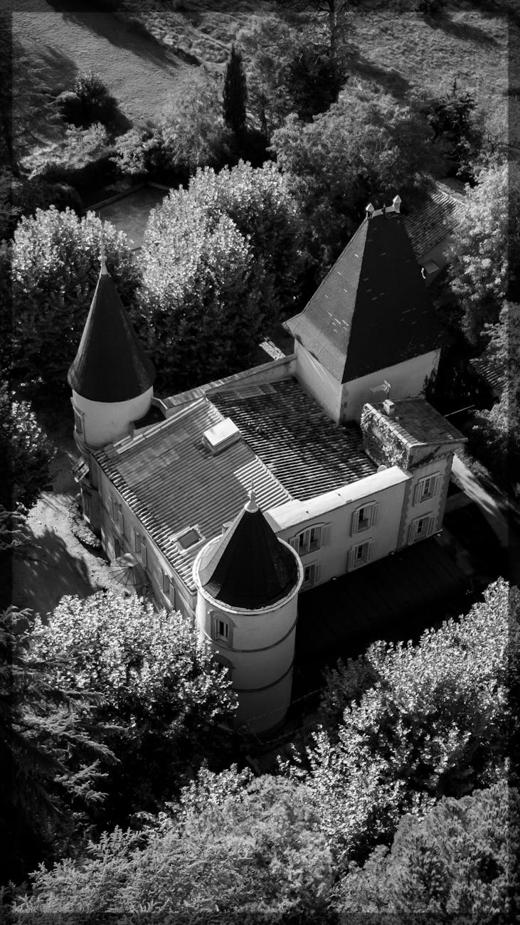 Vue aérienne en noir et blanc d'un château français entouré de forêt