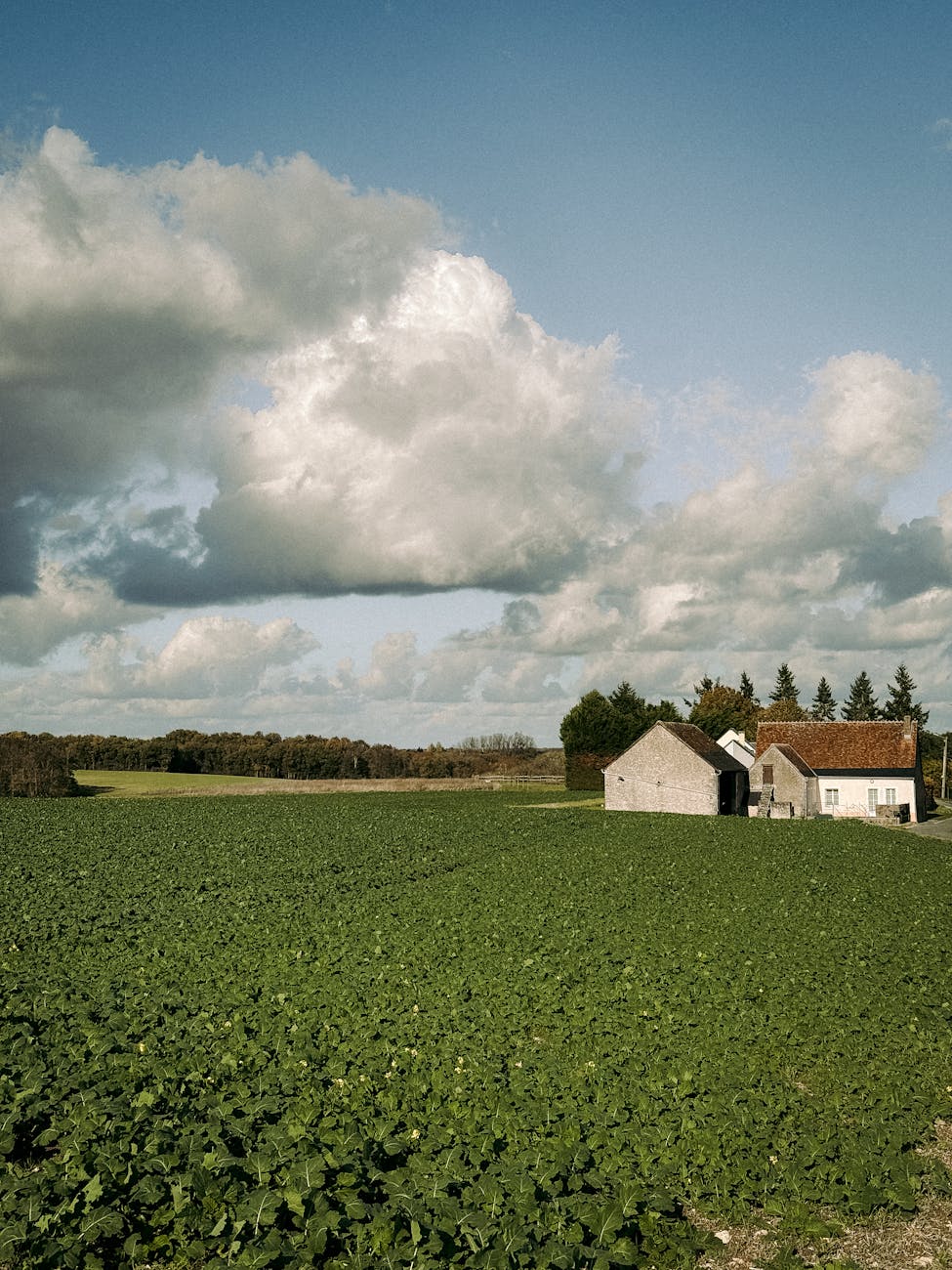 Ferme française avec champs verts sous un grand ciel