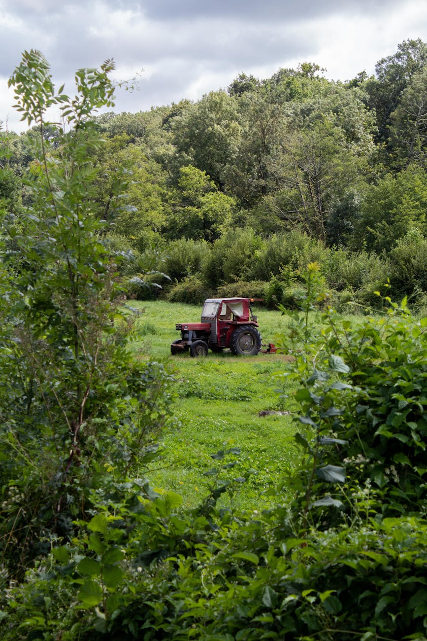 Tracteur rouge dans un champ verdoyant
