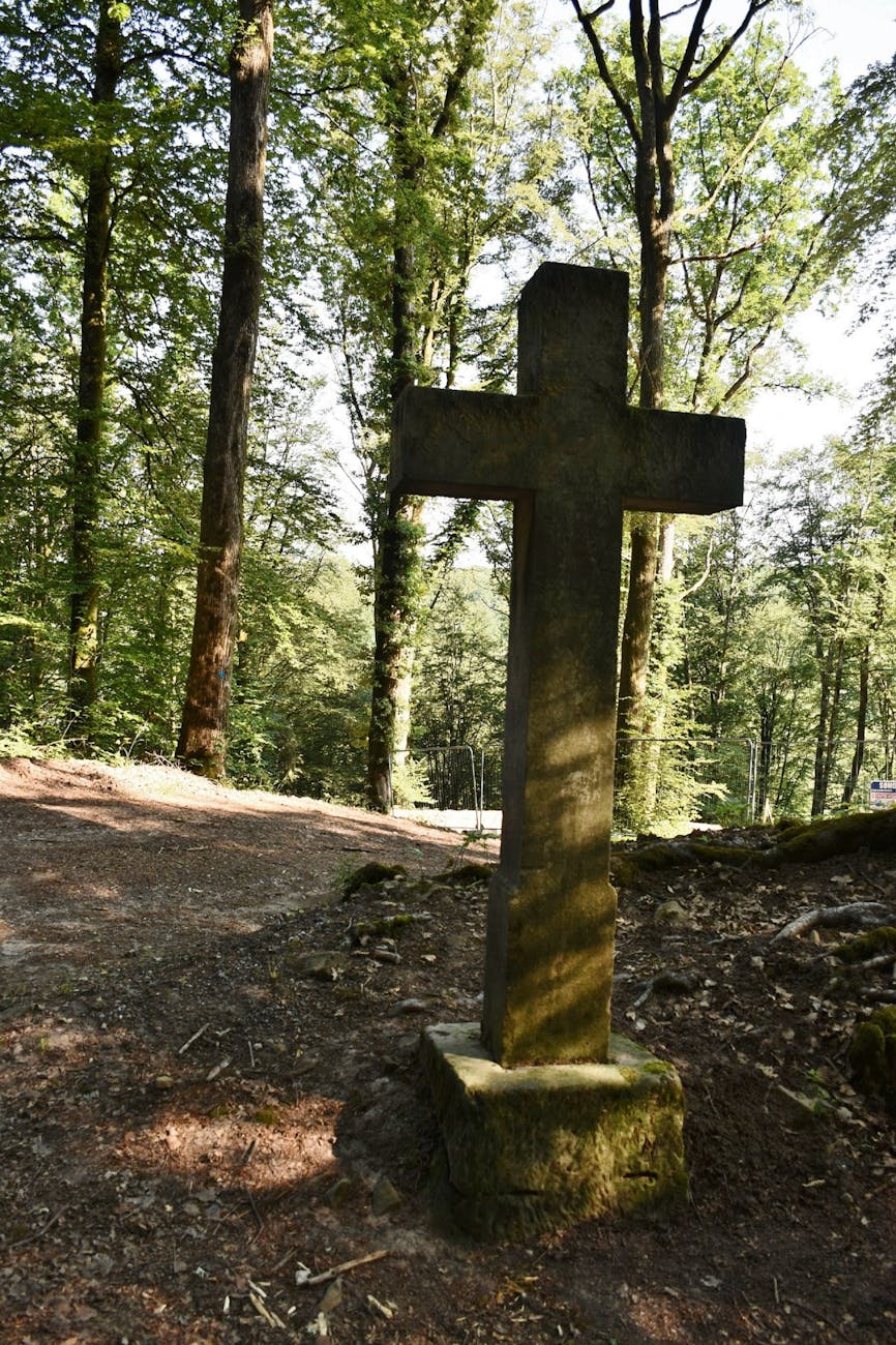 Croix en pierre dans une forêt feuillue verdoyante