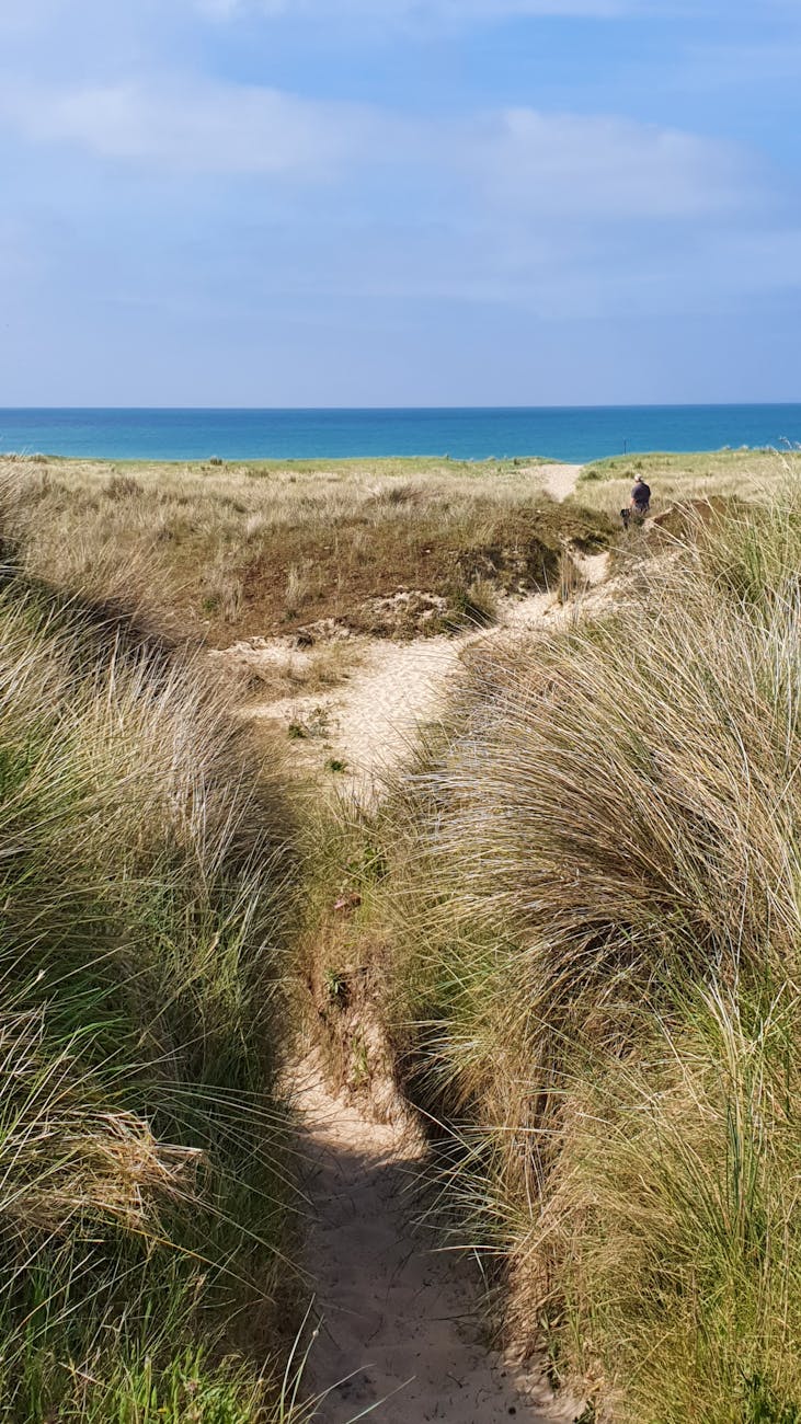 Sentier côtier et dunes en Normandie
