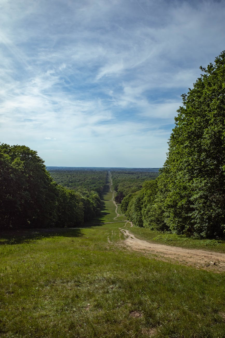 Sentier en forêt de Compiègne