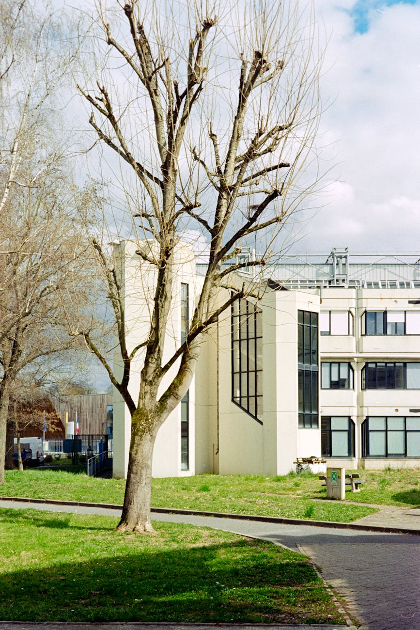 Rue contemporaine à Compiègne, France