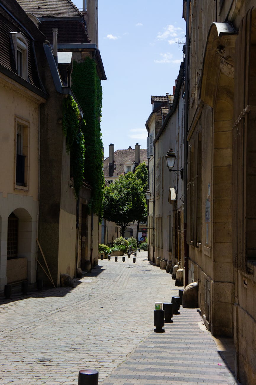 Ruelle pavée de Dijon entre des bâtiments anciens sous le soleil