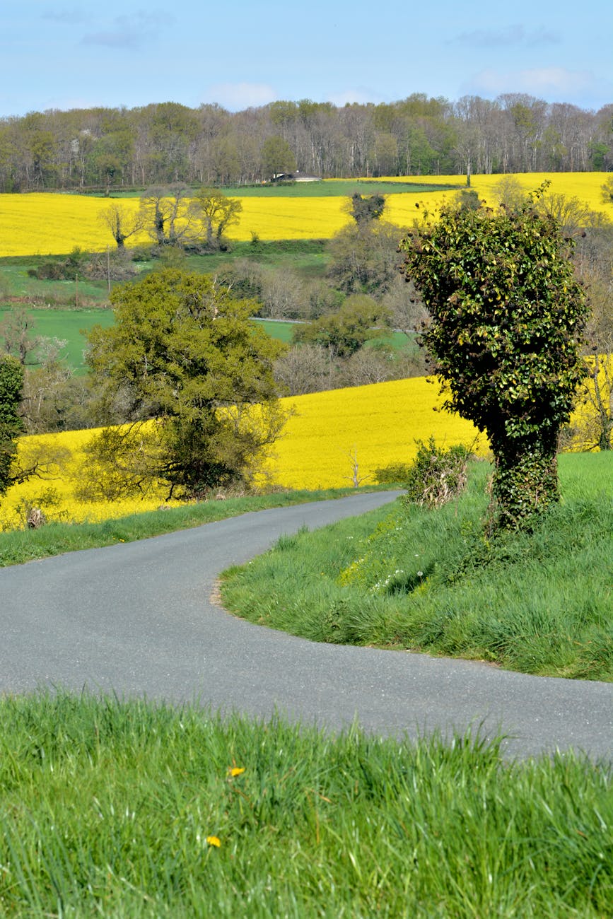 Paysage de plaine du nord de la France au printemps