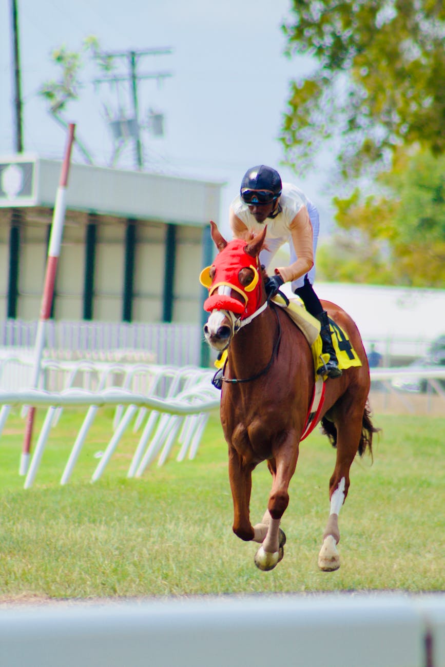 Jockey et cheval de course sur l'hippodrome