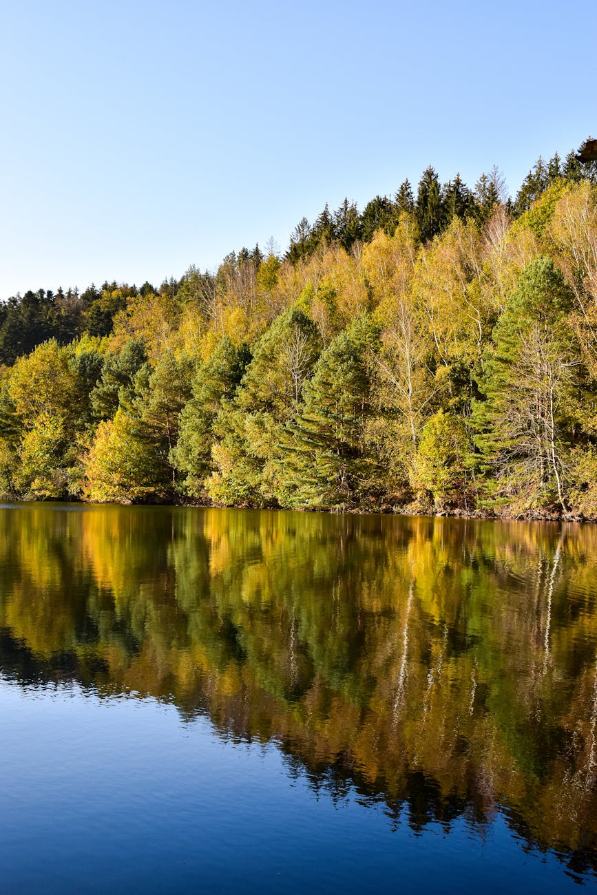 Forêt automnale reflétée dans un lac calme