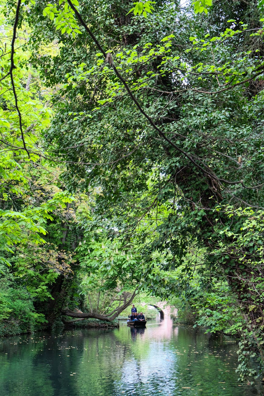 Barque sur un canal bordé d'arbres