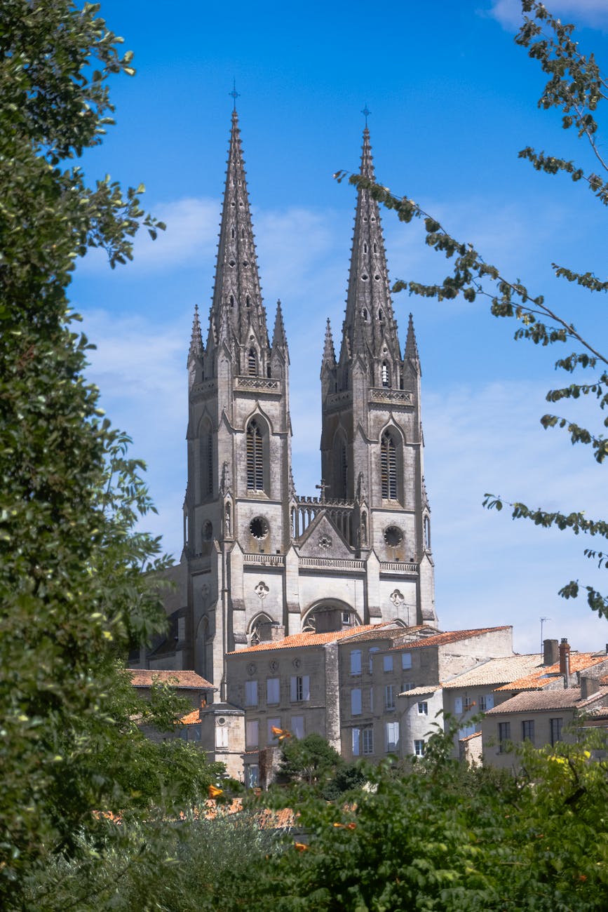 Architecture de la cathédrale de Niort sous une végétation estivale