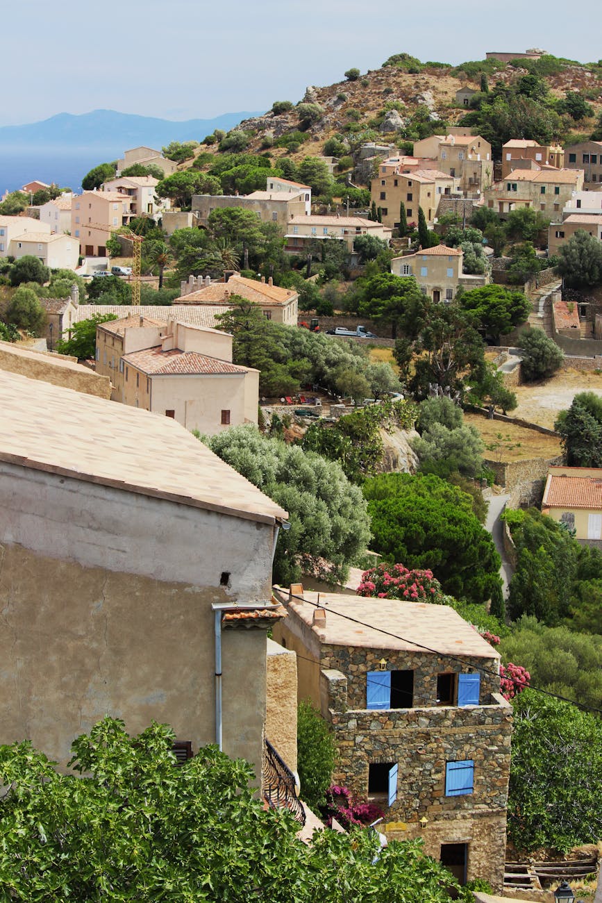 Vieille ville méditerranéenne sur une colline avec végétation