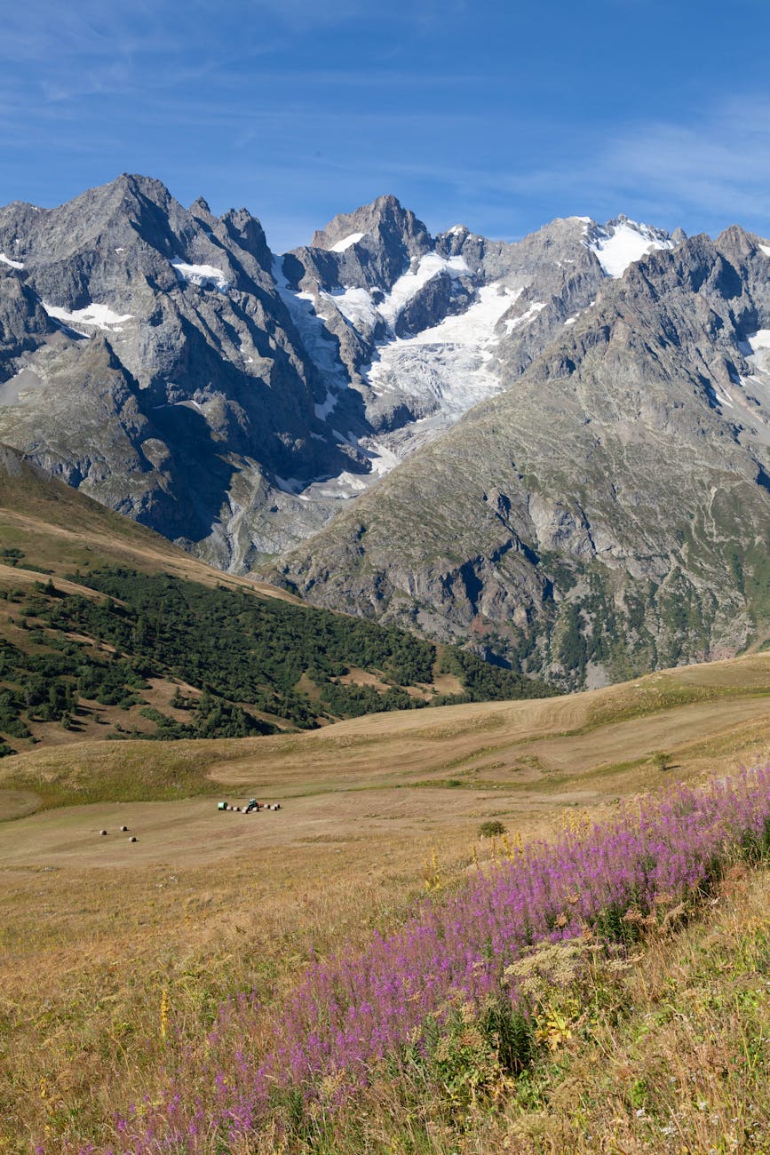 Pâturages et sommets de l'Oisans à La Grave (Hautes-Alpes)
