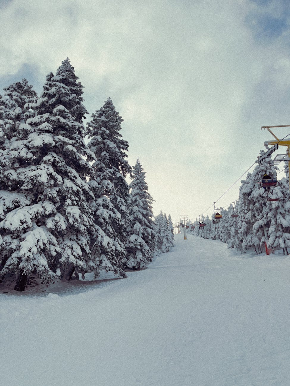 Télésiège montant une pente enneigée bordée de sapins