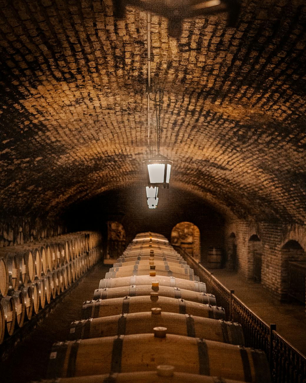 Cave à vin avec fûts en chêne