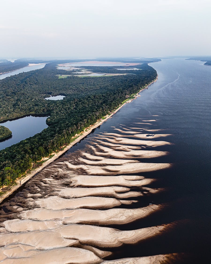 Vue aérienne de la forêt amazonienne