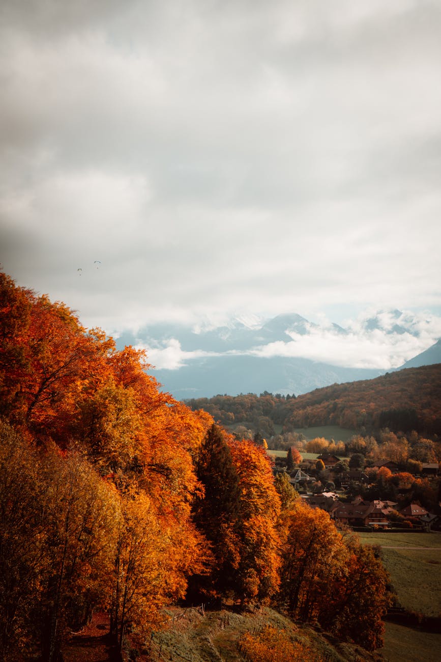 Paysage automnal d'arrière-pays français avec feuillages colorés