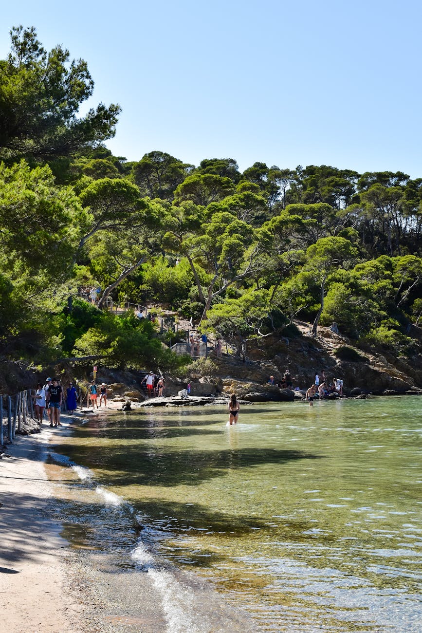Plage et littoral d'Hyères avec pinède
