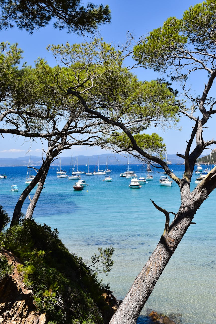 Bateaux ancrés près de l'île de Porquerolles sous un ciel bleu