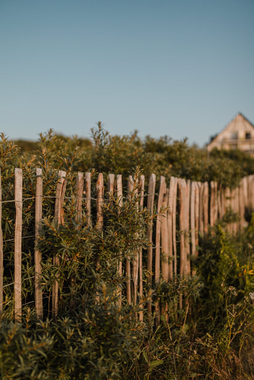 Paysage rural normand avec clôture en bois