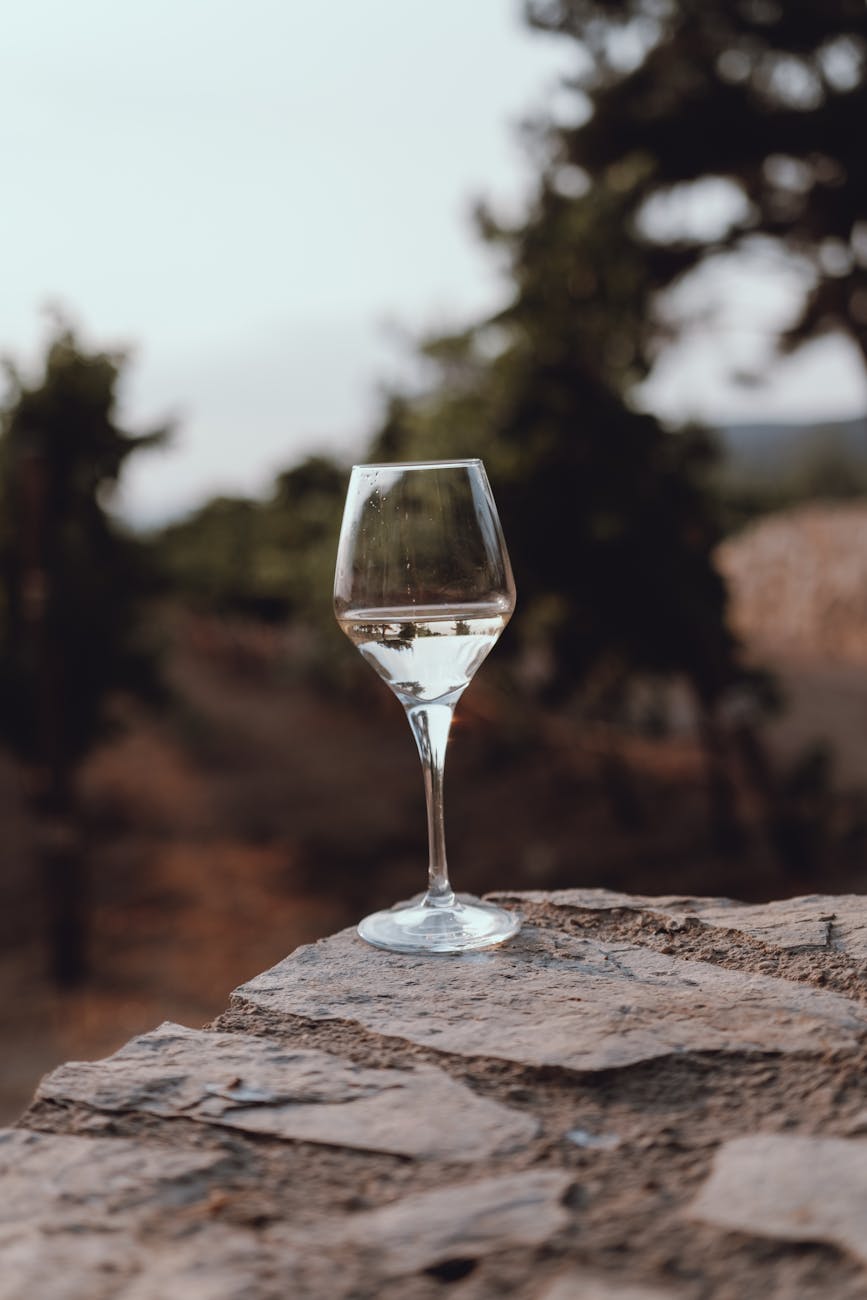 Verre de vin blanc face à un vignoble