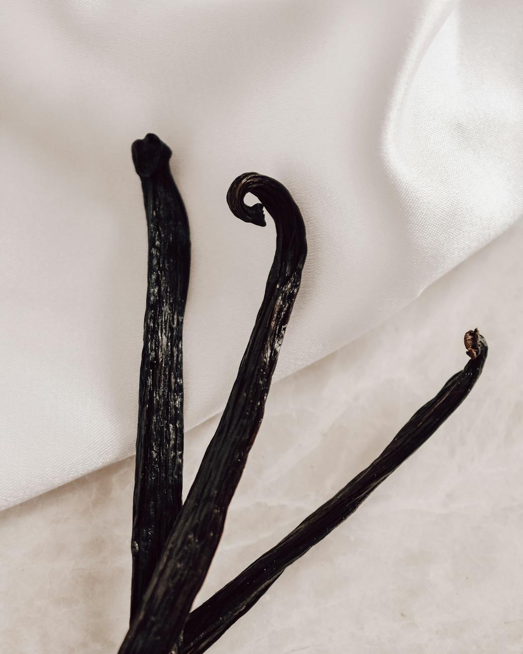 Gousses de vanille séchées